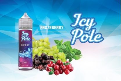 Frozeberry Icy Pole 60ml(20 to 60ml)